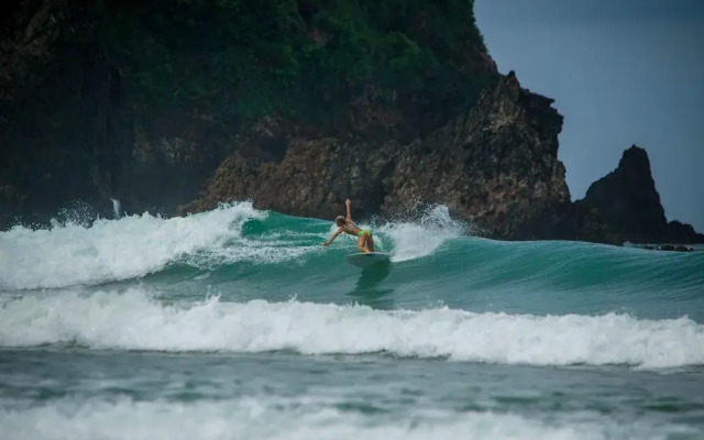 Mojosurf Camp Red Island