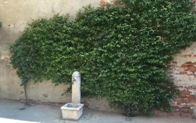 Appartamento Margherita