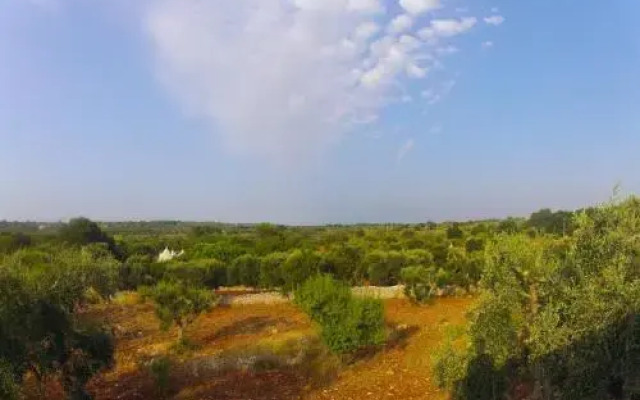 Holiday Homecontrada lamia nuova