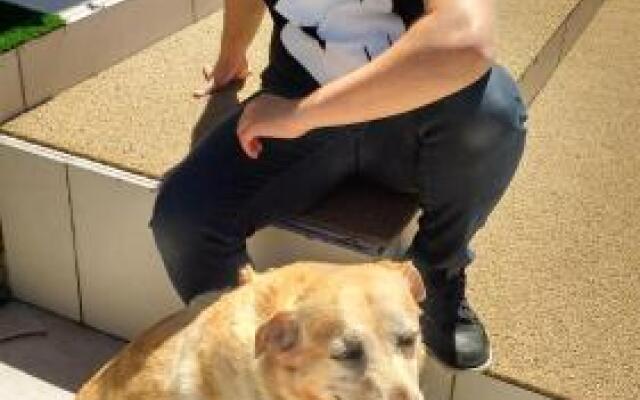 Pousada Brisamar Morro dos Conventos