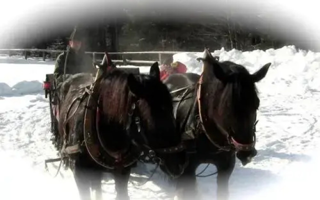 Agriturismo Prati Oitzinger