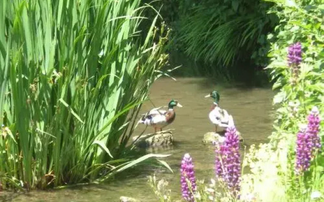 Au Moulin Saint Nicol B&B