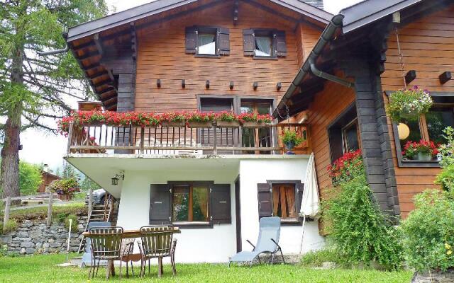 Witzler - Inh 24828