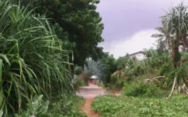 Gami Gedara
