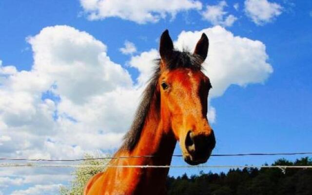 Madera Mansion Wilczkowo