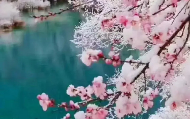 Jiuzhaigou Zhaozilong New Inn
