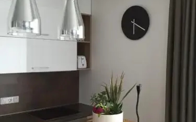 Birštonas Rent