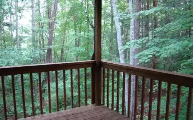 Into the Wild Cabin - 2 Br Cabin