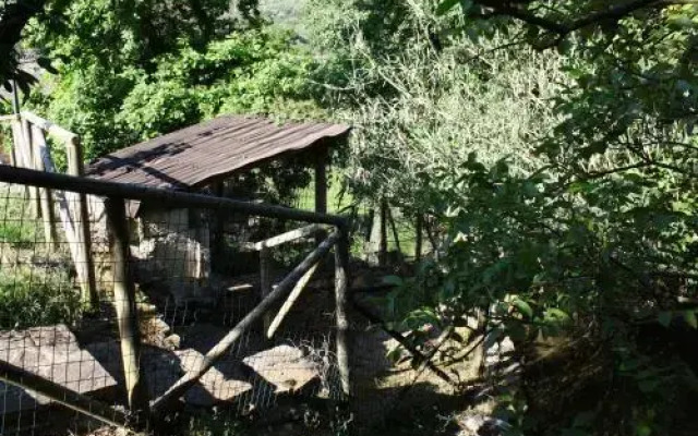Agriturismo La Mimosa