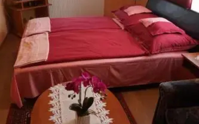 Vadrózsa vendégház