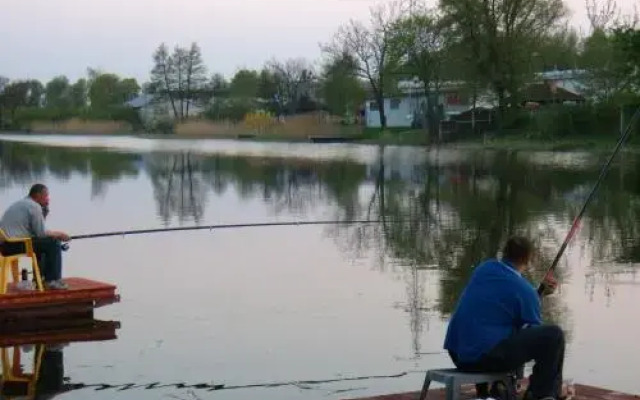 Camping nr 61