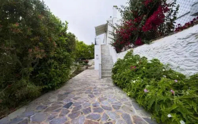 Paloma Studios
