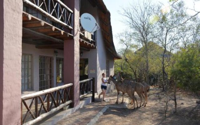 Honey Badger Safari House