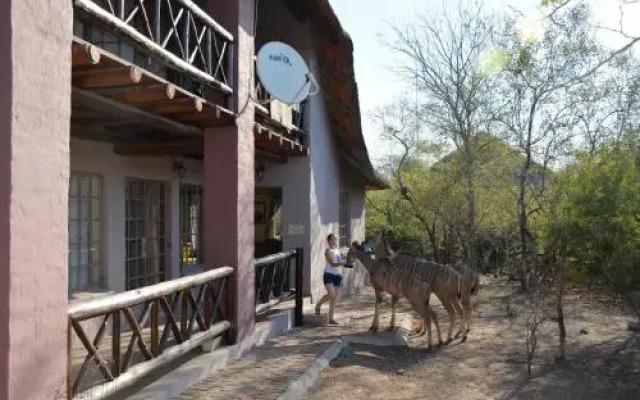 Honey Badger Safari House