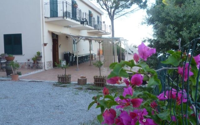 Alba Tra I Pini B&B