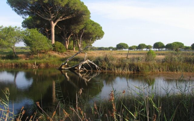 Oltremare Appartamenti