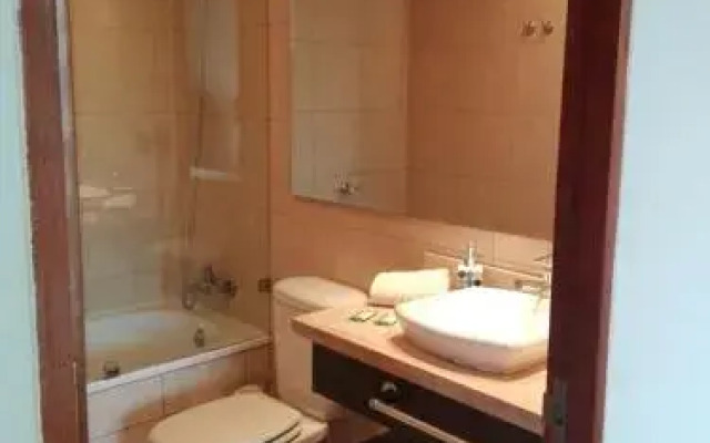 Austral Rentahome Barros Borgoño