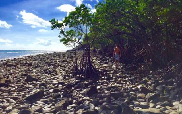 Cape Tribulation Holiday House