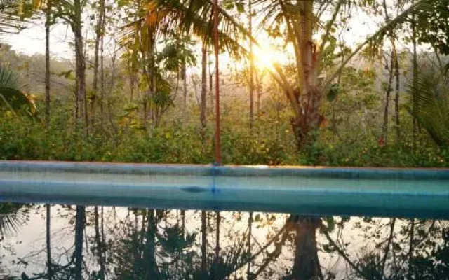 Jolly's Jungle Villa