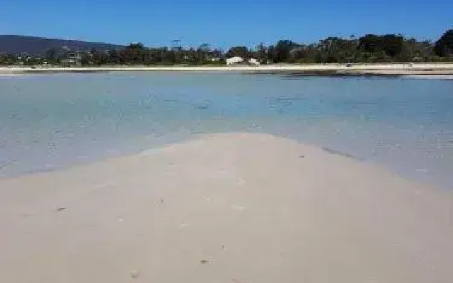 Banksia On The Bay