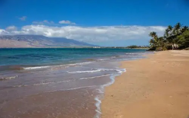 Kihei Bay Surf #109 - Studio Br Condo
