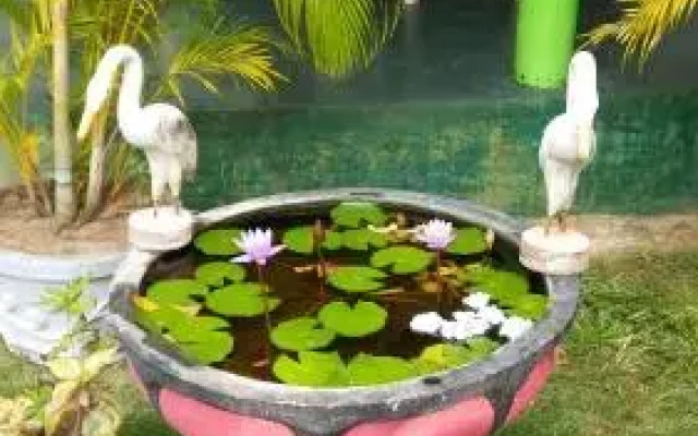 Sigiriya Green Garden Homestay