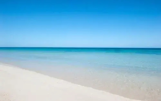 Into The Blue