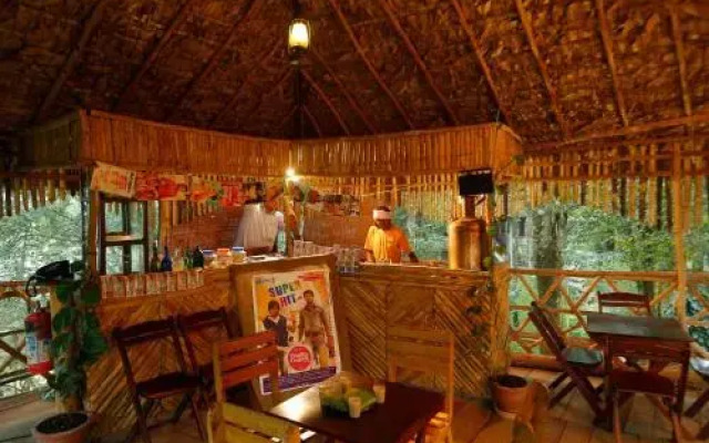 Vanya Tree House