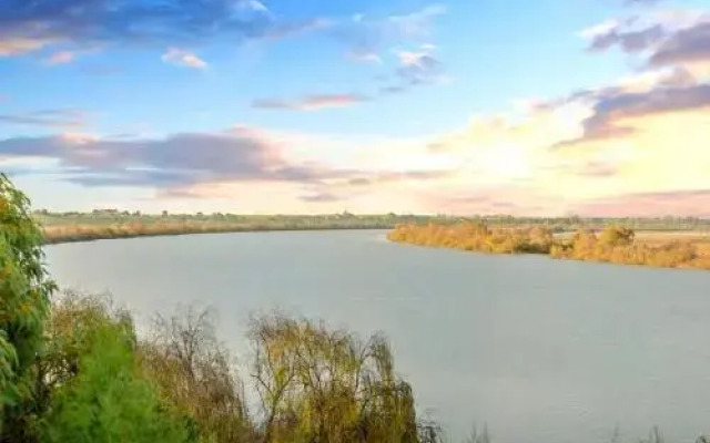 Muse on the Murray - Pet-Friendly