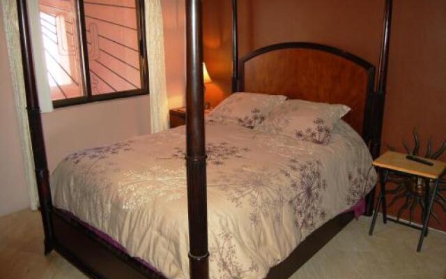 Pinacate Rocky Point By Castaways