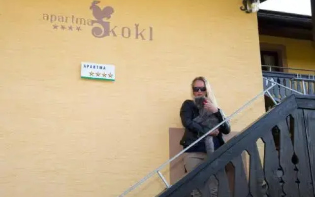 Apartments Kokl