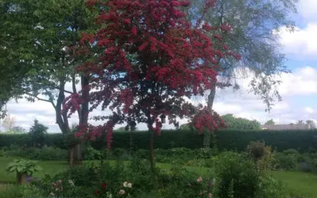 Bed and Breakfast - Stakdelen 47