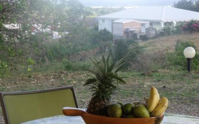 Appartement Vacances Goyave