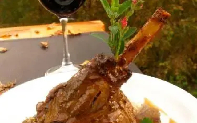 Peumayen Lodge & Termas