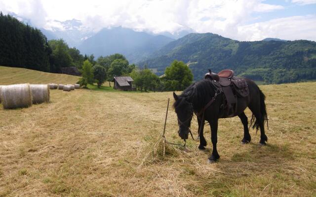 Gîte Le Cerf de Belledonne