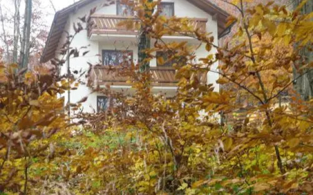 Casa de vacanta Mogosa