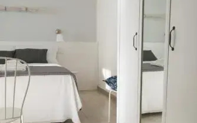 B&B Bucci 54