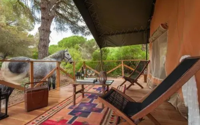 Glamping Dehesa de las Yeguas