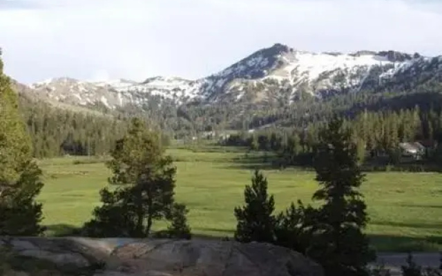 Sun Meadows 1 - 102