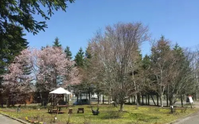 Woody Hotel and Restaurant Yumekoubo