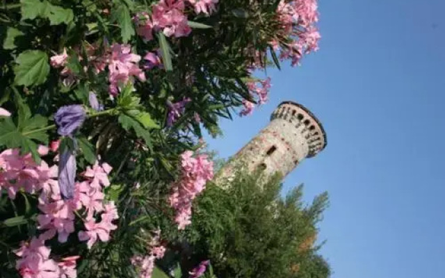 La Bustina Di Zucchero