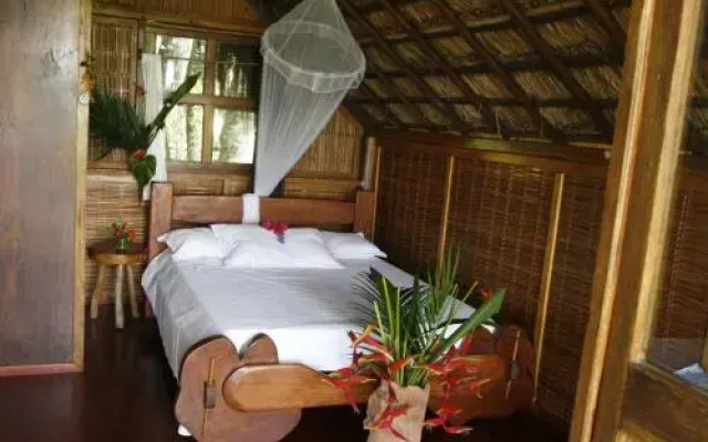 Art Jungle Eco Lodge