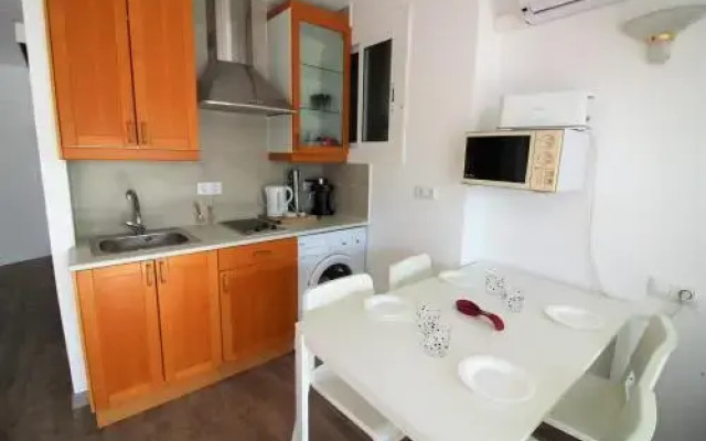 Palmeras 5.2