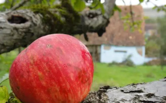 Dominic Boutique, Little Barn , Cloasterf