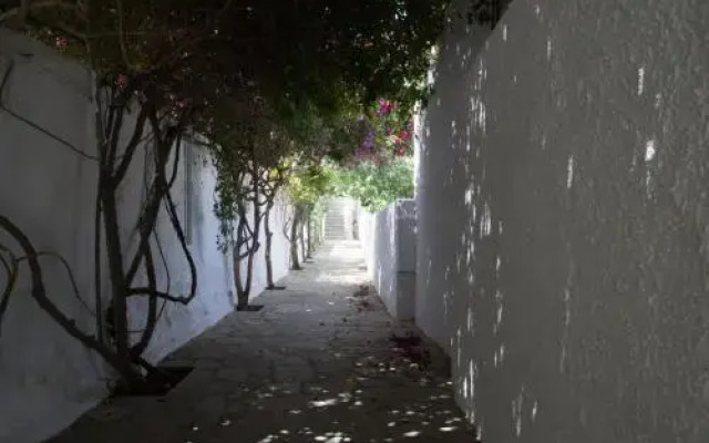 Kiki's Houses Vlichos