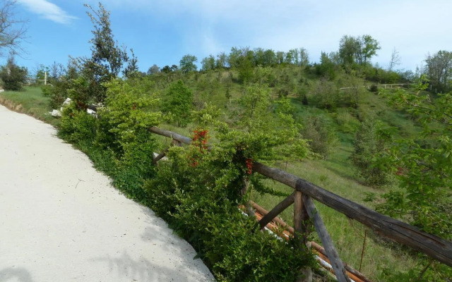 La Collina Del Tartufo