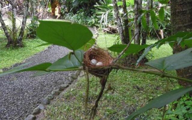 El Colibri Lodge