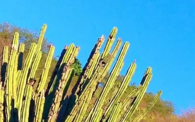 Playaca Beach