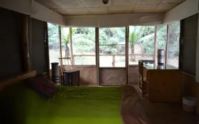 El Tular Santuario Natural