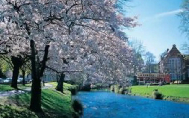 Kiwi group accommodations - Barlow